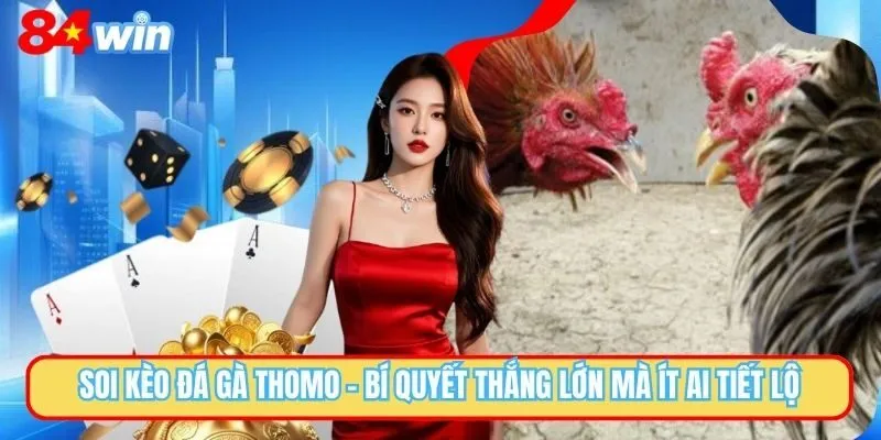 Soi Kèo Đá Gà Thomo Bao Chuẩn Xác Dành Cho Tân Binh 84WIN