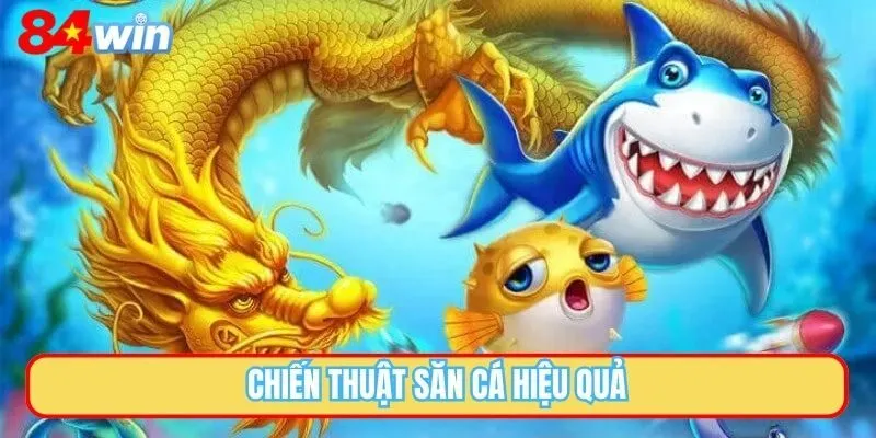 Chiến thuật săn cá hiệu quả