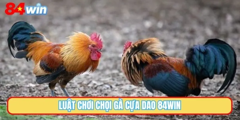 Luật chơi chọi gà cựa dao 84WIN