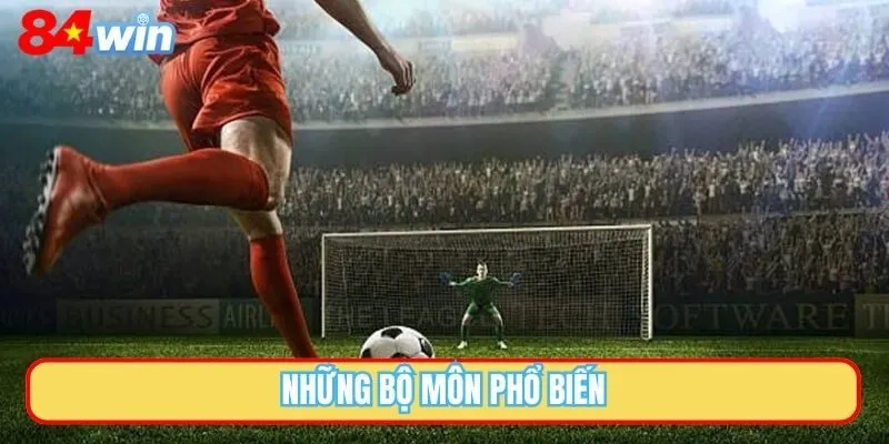 Những bộ môn phổ biến