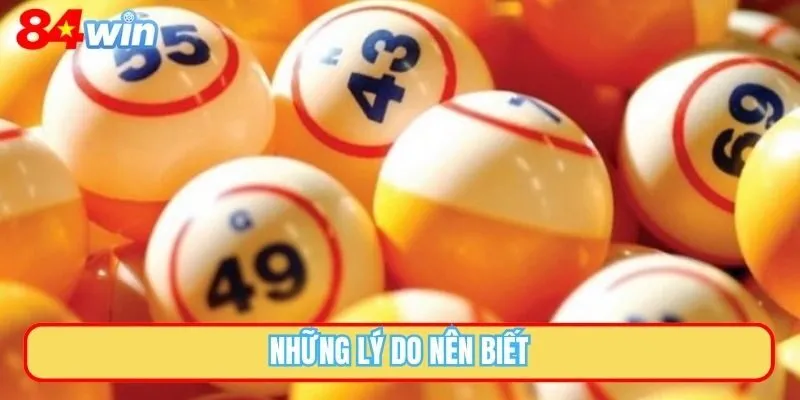 Những lý do nên biết